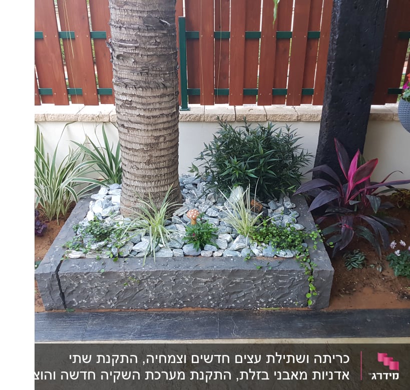 ערוגת גינה עם צמחים ואבנים סביב עץ